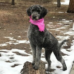 Meet your Posher, Jill